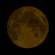 New Moon